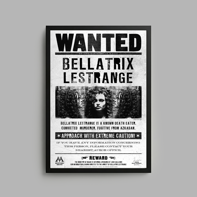 Harry Potter x Blvck Paris Frame