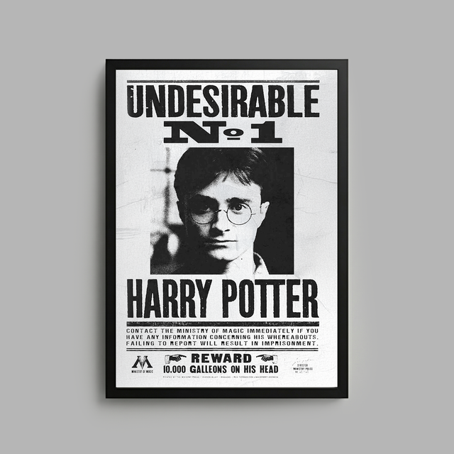 Harry Potter x Blvck Paris 3D Frame