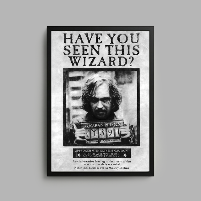 Harry Potter x Blvck Paris 3D Frame