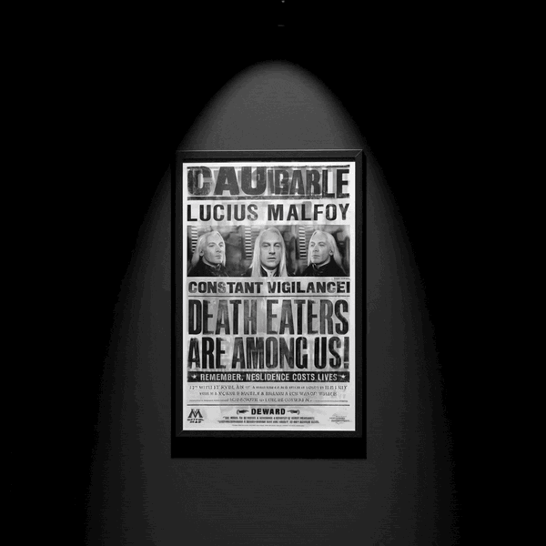 Harry Potter x Blvck Paris 3D Frame