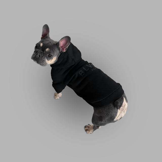 Sweatshirt à capuche pour chien