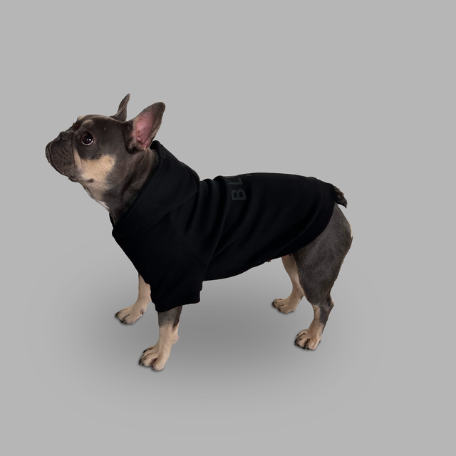 Sweatshirt à capuche pour chien