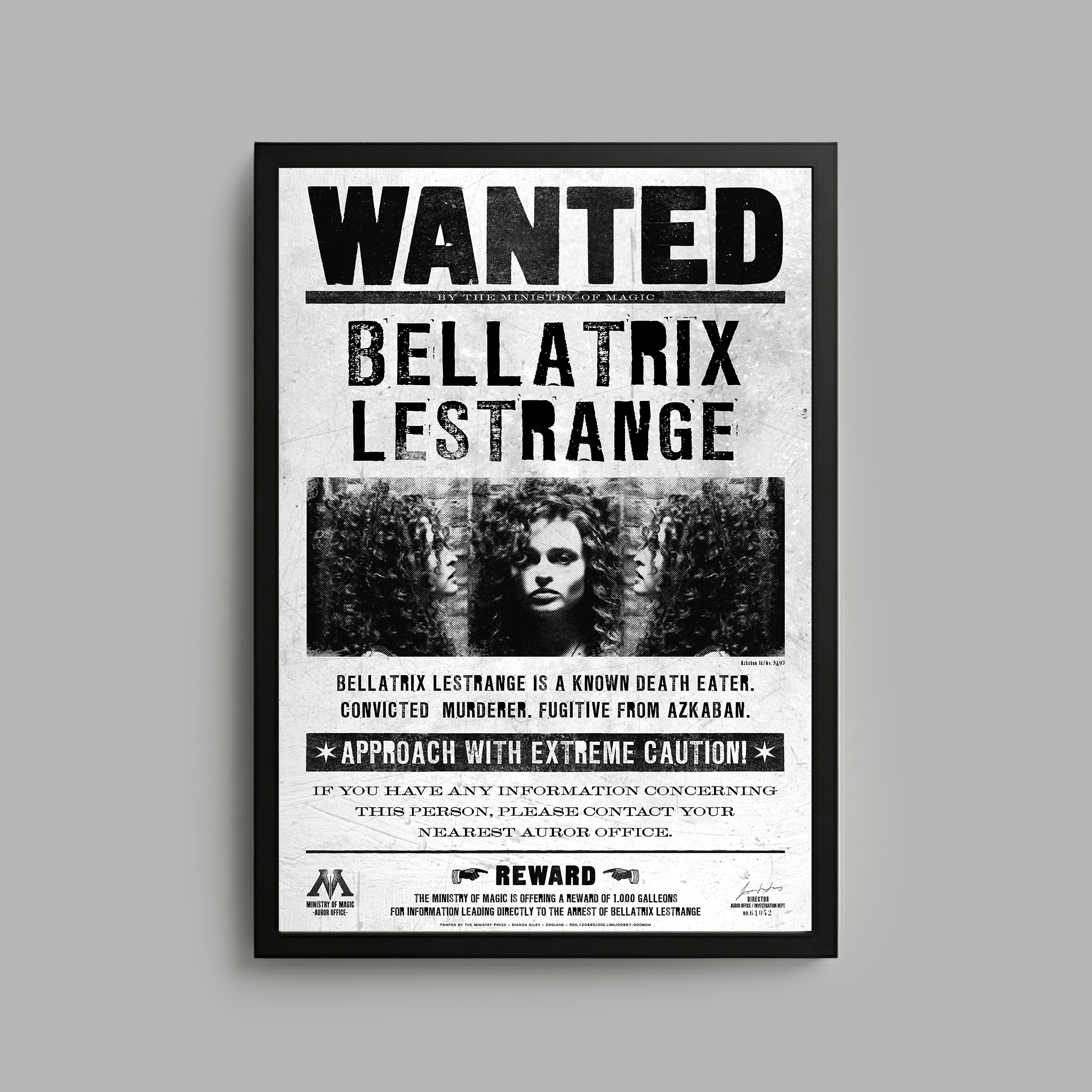 Harry Potter x Blvck Paris Frame