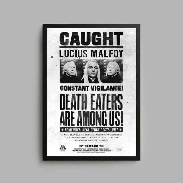 Harry Potter x Blvck Paris 3D Frame