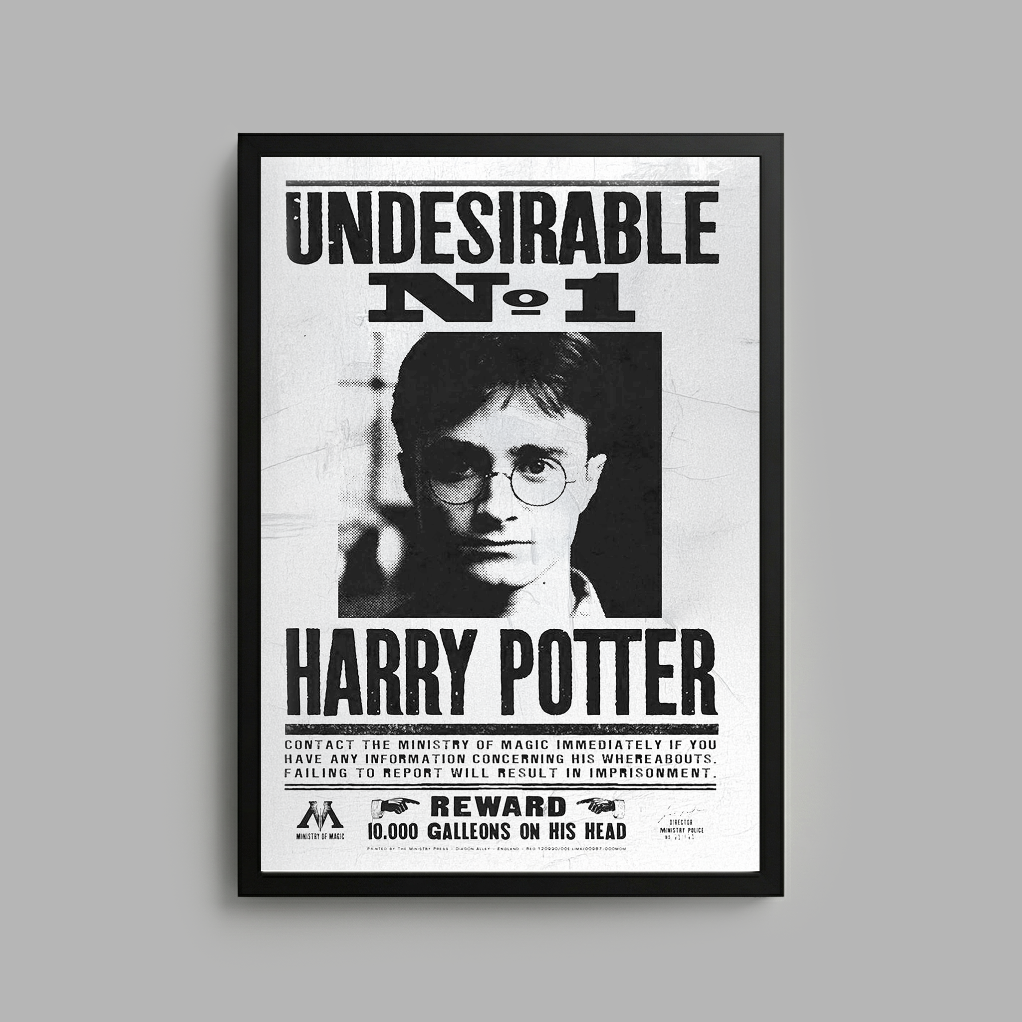 Harry Potter x Blvck Paris 3D Frame