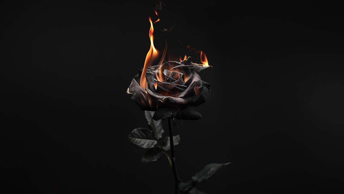 Blvck Desktop Digital – Blvck