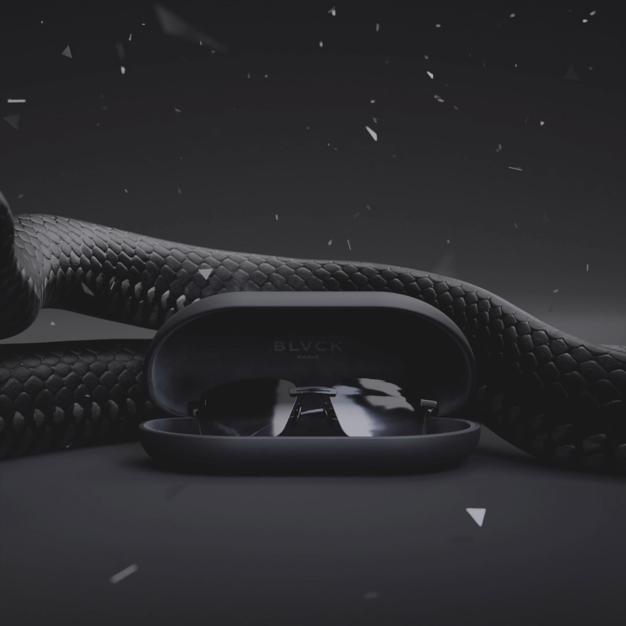 Blvck Shades Sunglasses